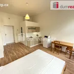 Rent 1 bedroom apartment of 25 m² in Capital City of Prague