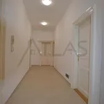 Rent 3 bedroom apartment of 110 m² in Prague