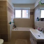 Rent 2 bedroom apartment of 69 m² in Heřmanova Huť