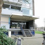 Rent 3 bedroom apartment of 62 m² in Rotterdam