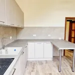 Rent 6 bedroom apartment of 180 m² in Firenze