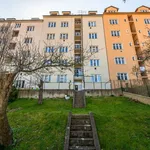 Rent 1 bedroom apartment in Capital City of Prague