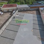 Pronajměte si 2 ložnic/e byt o rozloze 48 m² v Hradec Králové