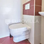 Rent 3 bedroom apartment of 125 m² in Zagreb