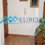 Rent 5 bedroom apartment of 100 m² in San Benedetto del Tronto