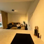 Rent 1 bedroom apartment in Antwerp