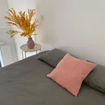 Rent 1 bedroom apartment in Porto