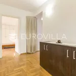 Rent 4 bedroom apartment of 170 m² in Zagreb