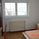 Miete 5 Schlafzimmer wohnung von 150 m² in Vienna