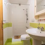 Rent 1 bedroom apartment in Florence