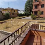 Rent 3 bedroom apartment of 100 m² in Vedano al Lambro