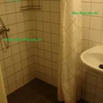 Rent 1 bedroom apartment of 12 m² in Den Bosch