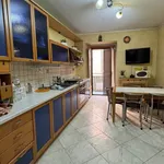 Rent 3 bedroom house of 80 m² in Scordia