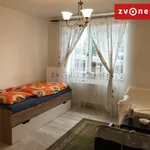 Rent 1 bedroom apartment in Zlín