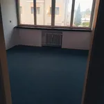 Rent 2 bedroom apartment in Náchod