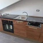 Rent 1 bedroom apartment of 30 m² in Torino