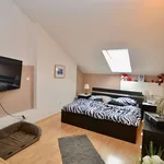 Rent 2 bedroom apartment of 121 m² in Ústí nad Labem