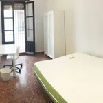 Rent 5 bedroom apartment in Cordoba