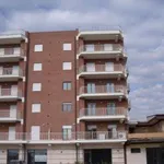 Rent 1 bedroom apartment of 50 m² in Frosinone