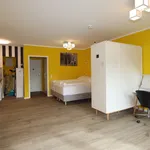 Rent 1 bedroom apartment of 398 m² in Dresden