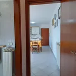 Rent 2 bedroom apartment of 55 m² in Latina