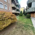 Rent 4 bedroom apartment in Padova