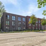 Rent 2 bedroom apartment of 45 m² in Hoge Rijndijk Oost