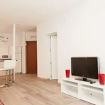 Rent 3 bedroom apartment in madrid