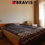 Rent 1 bedroom apartment of 15 m² in Brno