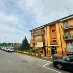 Rent 5 bedroom apartment of 90 m² in Monfalcone