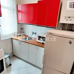 Rent 1 bedroom house of 33 m² in Zlín