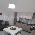 Rent 1 bedroom apartment of 50 m² in Palmariggi