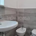 Rent 1 bedroom apartment of 30 m² in Vedano al Lambro