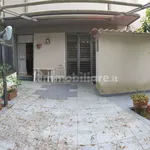 Rent 3 bedroom apartment of 100 m² in Pisa