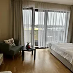 Rent 1 bedroom apartment of 37 m² in Prague