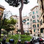 Rent 5 bedroom apartment in Rome