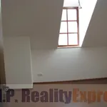 Rent 3 bedroom apartment of 110 m² in Prague