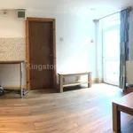 Rent 1 bedroom apartment in Newport Road