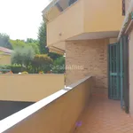 Rent 2 bedroom apartment of 54 m² in Desio