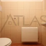 Rent 3 bedroom apartment of 132 m² in Prague