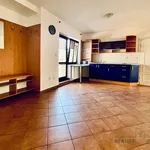 Rent 2 bedroom apartment of 65 m² in Brno