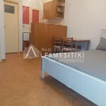 Ενοικίαση 1 υπνοδωμάτια διαμέρισμα από 28 m² σε Athens