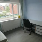 Rent 2 bedroom flat in Sheffield