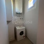 Rent 2 bedroom apartment of 55 m² in Torino