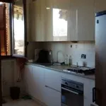 Rent 3 bedroom apartment of 80 m² in Pavia