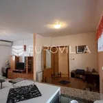 Rent 2 bedroom apartment of 70 m² in Žminj