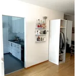 Rent 1 bedroom apartment in Bern