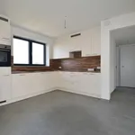 Rent 1 bedroom apartment in Zottegem