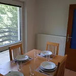 Rent 1 bedroom apartment of 144 m² in Brno