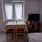 Rent 1 bedroom apartment of 37 m² in Grad Rijeka